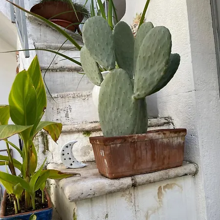 Palazzo Siena De Facendis 住宿加早餐酒店 3*