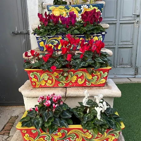 住宿加早餐酒店 Palazzo Siena De Facendis 比通托