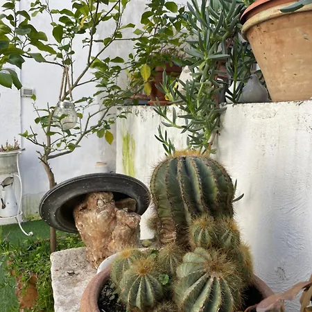 Palazzo Siena De Facendis 3*